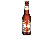שקמה אייל ענסרי 330 מ